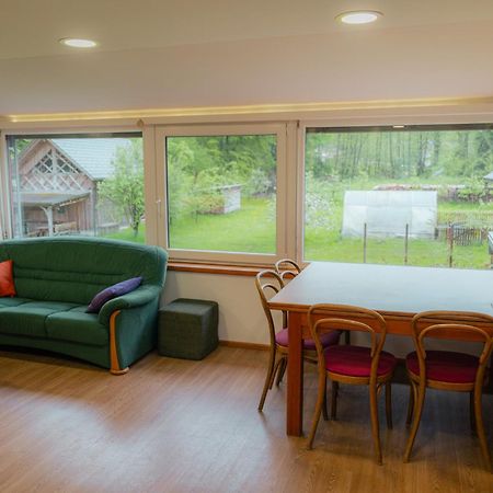 梅德沃德Country Retreat, Near Ljubljana City, Apartma Na Vasi, Blizu Mesta Ljubljana公寓 外观 照片