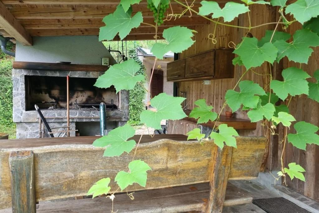 梅德沃德Country Retreat, Near Ljubljana City, Apartma Na Vasi, Blizu Mesta Ljubljana公寓 外观 照片